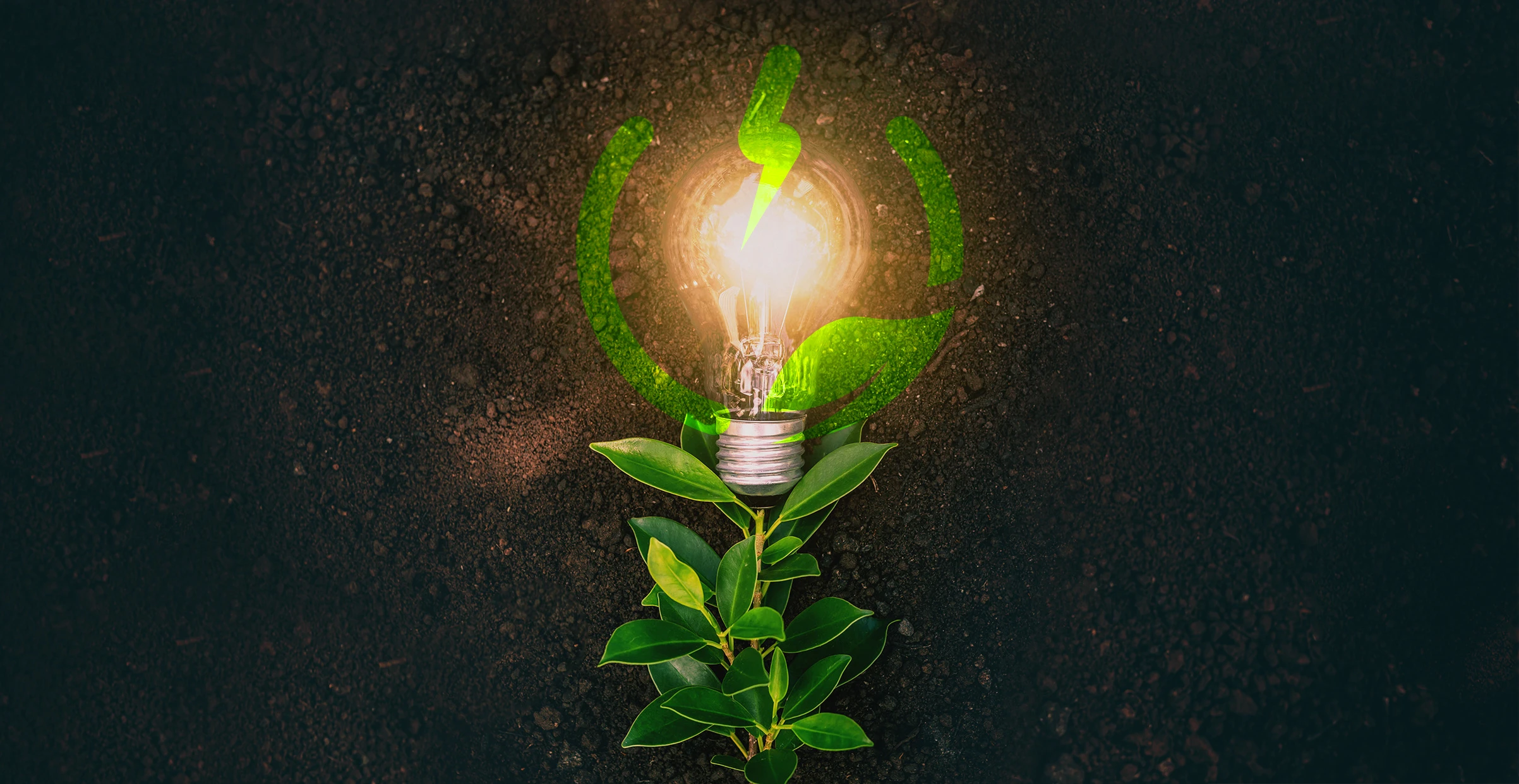 Identidade Visual · Branding